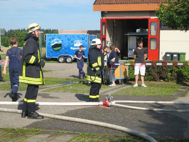 Bild